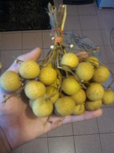 longan