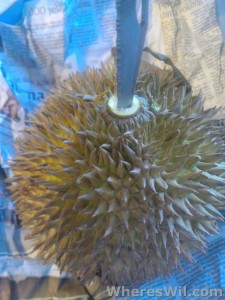 Opening-A-Durian-1