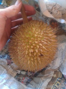 Whole-Durian